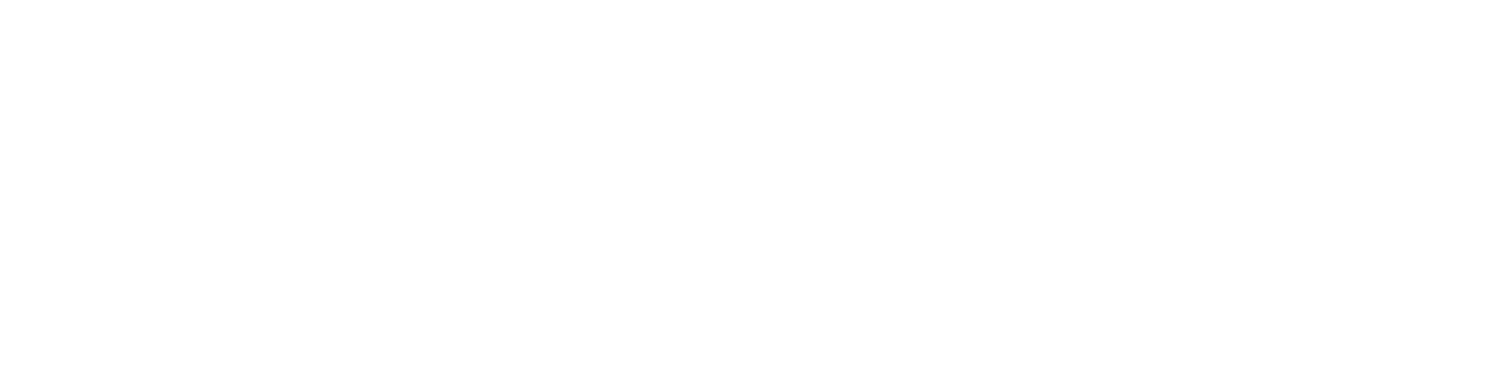 Goalix logo